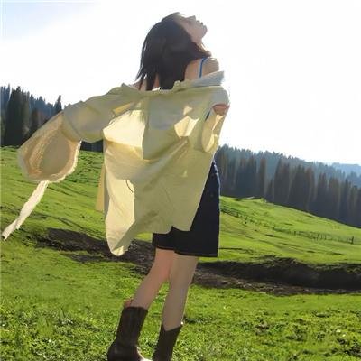 科搜研之女第24季